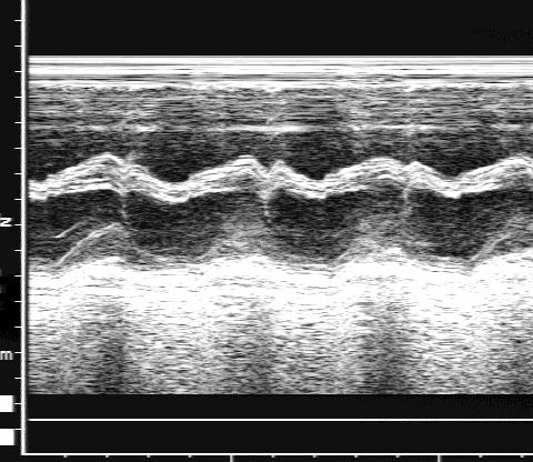 �������� �������� ������������������� �����.