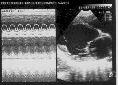 ������������� �������������� (3).