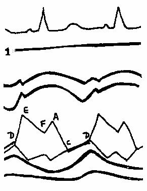 ����� ����������� �������� ������� ����������� �������.