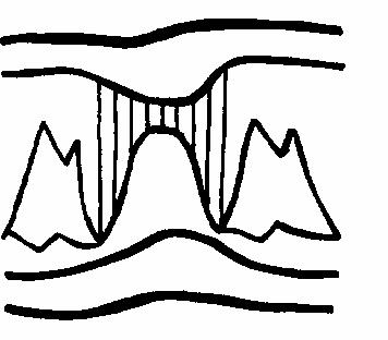 ������ ��������� �� ������� ����������.