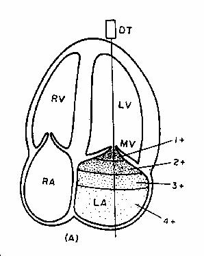 ����� ����������� �������� ���������� ����������� �� ������
������-���������������.
