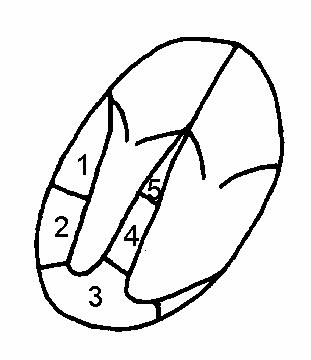 Поекция четырех камер.