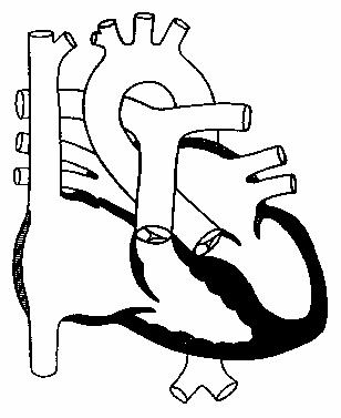 ���������������� ������������� ������.