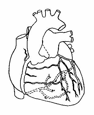 ���������� ���������� ����� ���������� ������� ��
�������� �������.